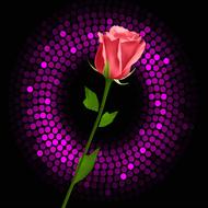 a red rose in a purple circle.