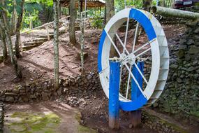 Outdoors Wood No Person