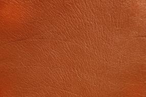 Leather Background Structure