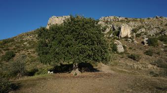 Nature Landscape Sky