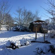 Snowy wintry garden