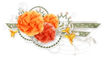 Cluster Photoshop For