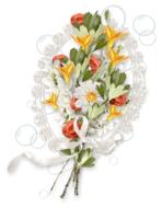 Cluster Photoshop For