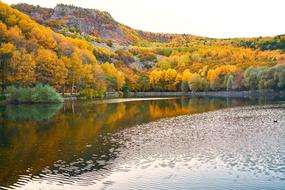 Autumn Trees Lake