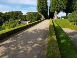 park road with plants landscape