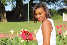 Summer Flower Nature