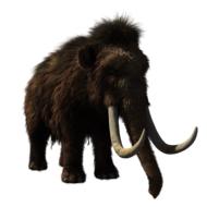 Woolly Mammoth Animal Prehistoric