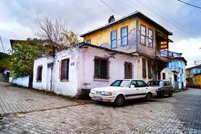 Spruce Mastiff Nature