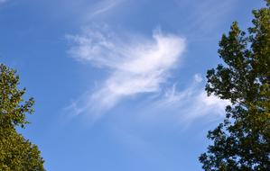 Cloud Skyscaping