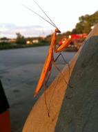 Outdoors Water Nature