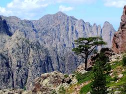 Mountains Alps Landscape