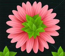 plant flower flowers design leaves