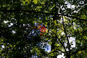 Nature Organic Outdoors