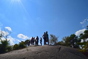Mountain People Tree