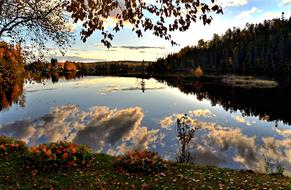 Fall Autumn Landscape