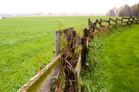 Grid Garden Landscape
