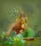 Squirrel Forest Animal