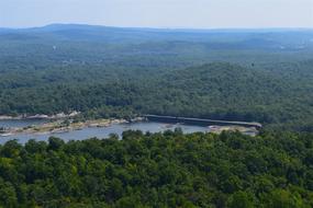 Mountain View Lake Trees