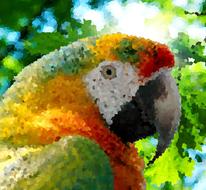 environment ecology tree nature