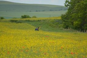 man with a model airplane on a summer field