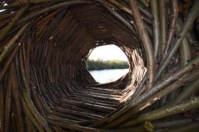 Natural Structure Wooden Spiral