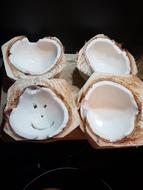 Coconut Rawvegan Food