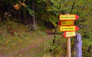 Signal Indications Excursion