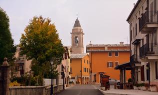 green trees with an orange house