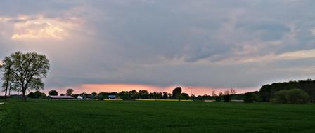 meadow with trees in the clouds with sunshine