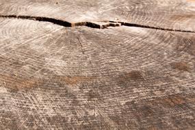 Wood Pattern Abstract