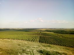 Landscape Cloud Summer