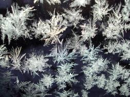 Ice Crystals Frozen