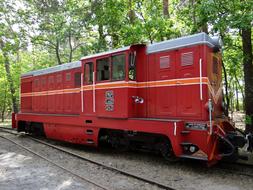 Narrow-Gauge Railway Locomotive