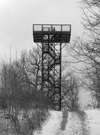 Nature Observation Tower Forest