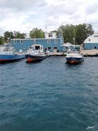 Boats Sail Boat