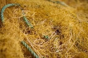 Network Fisherman Yellow