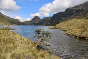 Water Nature Mountain