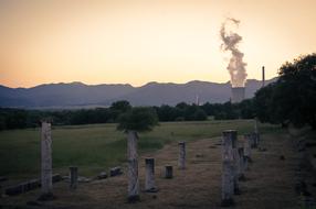 Panoramic Outdoors Tree