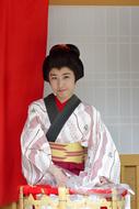 Japan Geisha Culture