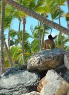 Tree Tropical Nature