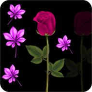 png image flower flowers