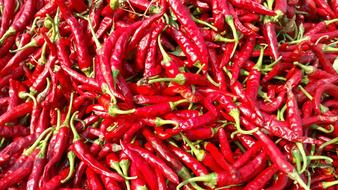 chili pepper background
