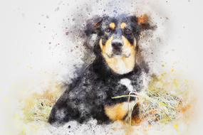 dog animal pet art abstract