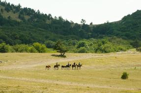 Aipetri Crimea Mountain