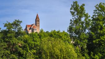 Church Dog Sing Blue Sky Landscape
