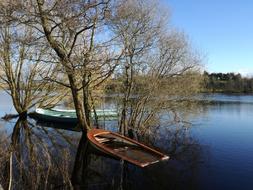 Tree Reflection Water