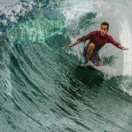 Shark Surfer Surfing