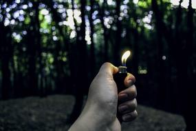 Hand Forest Lighter