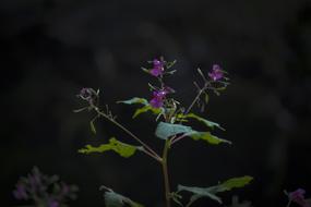 Nagano Japan Partly Cloudy