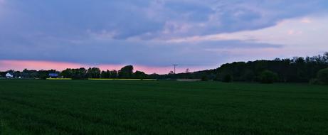 Landscape Spring Nature